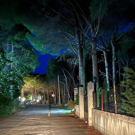 Rooms For Rent Habipi Vlore Bagian luar foto