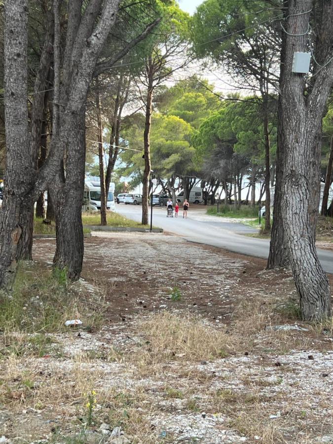 Rooms For Rent Habipi Vlore Bagian luar foto